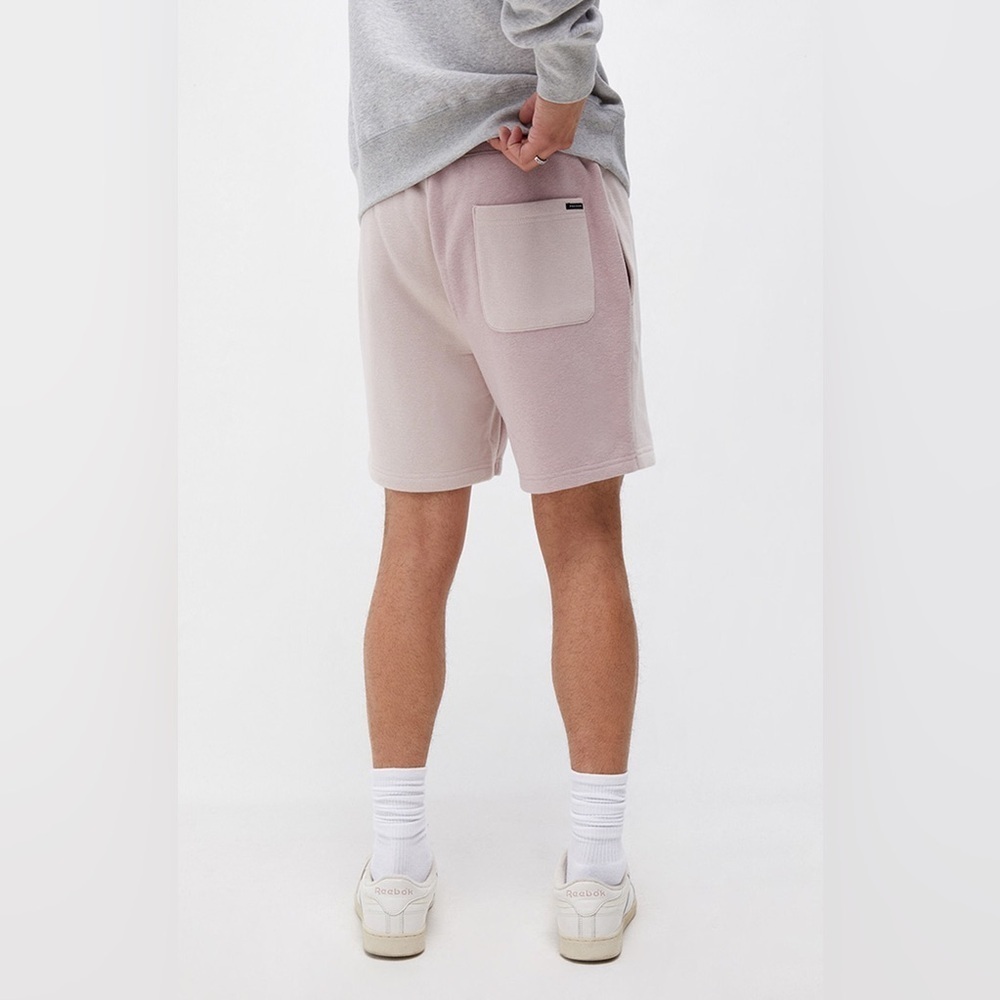 Pacsun Men’s Mauve Colorblock Fleece Volley Sweat Shorts | Size Medium - Picture 4 of 11